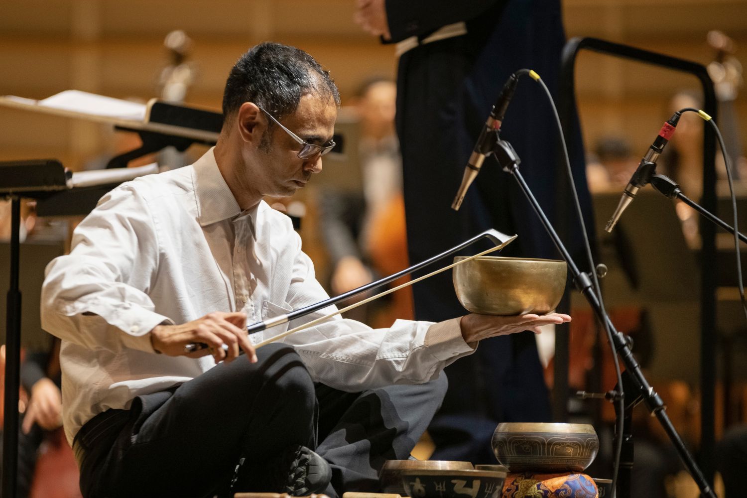 The Miami Symphony Orchestra concert 'Pulsing Symphonic Sounds'