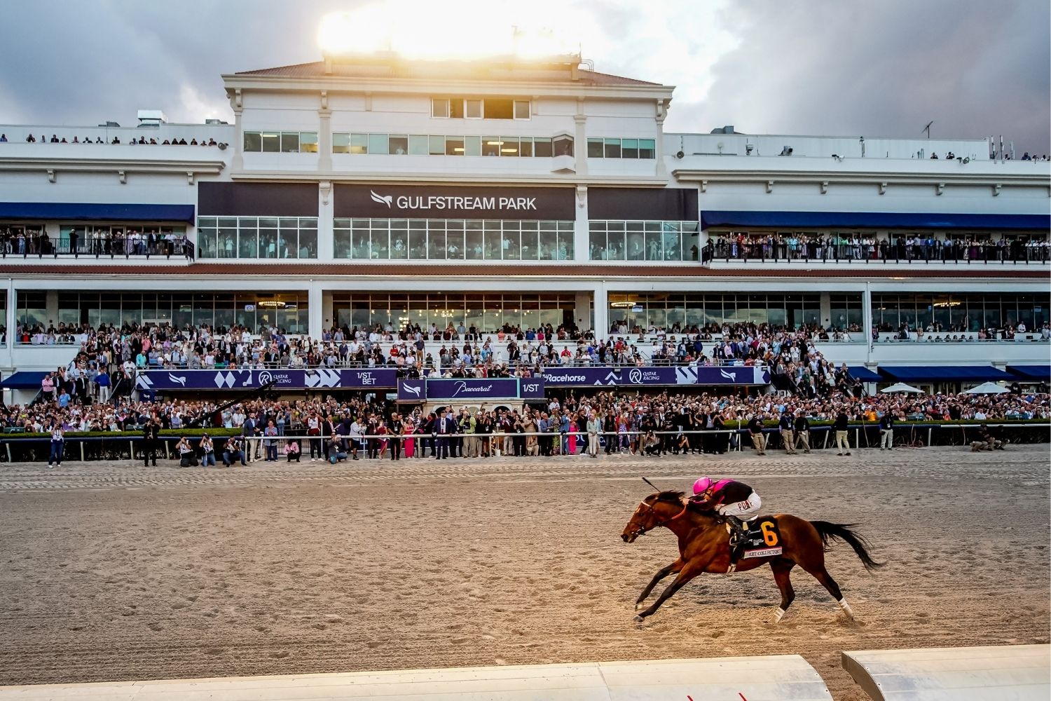 Calvin Harris to headline the 2024 Pegasus World Cup